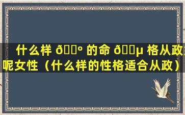 什么样 🐺 的命 🌵 格从政好呢女性（什么样的性格适合从政）